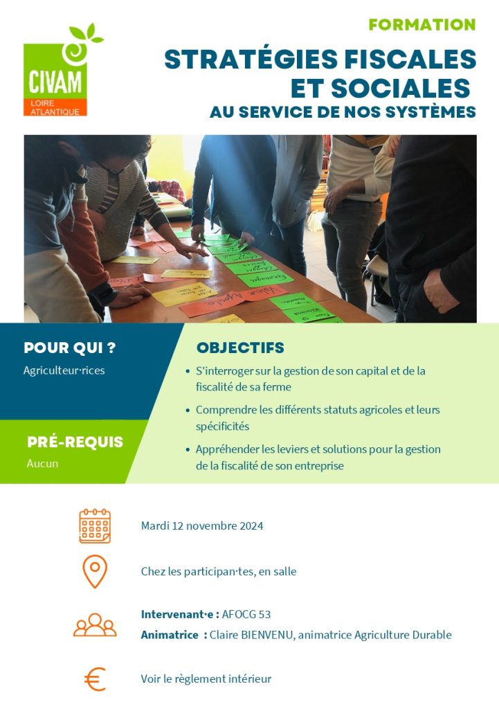 Stratégies fiscales et sociales au service de nos systèmes 1