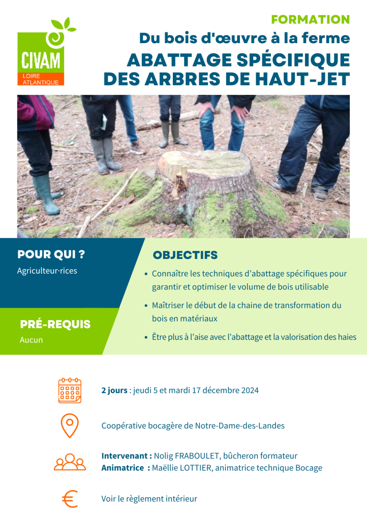 Abattage spécifique des arbres de haut-jet 1