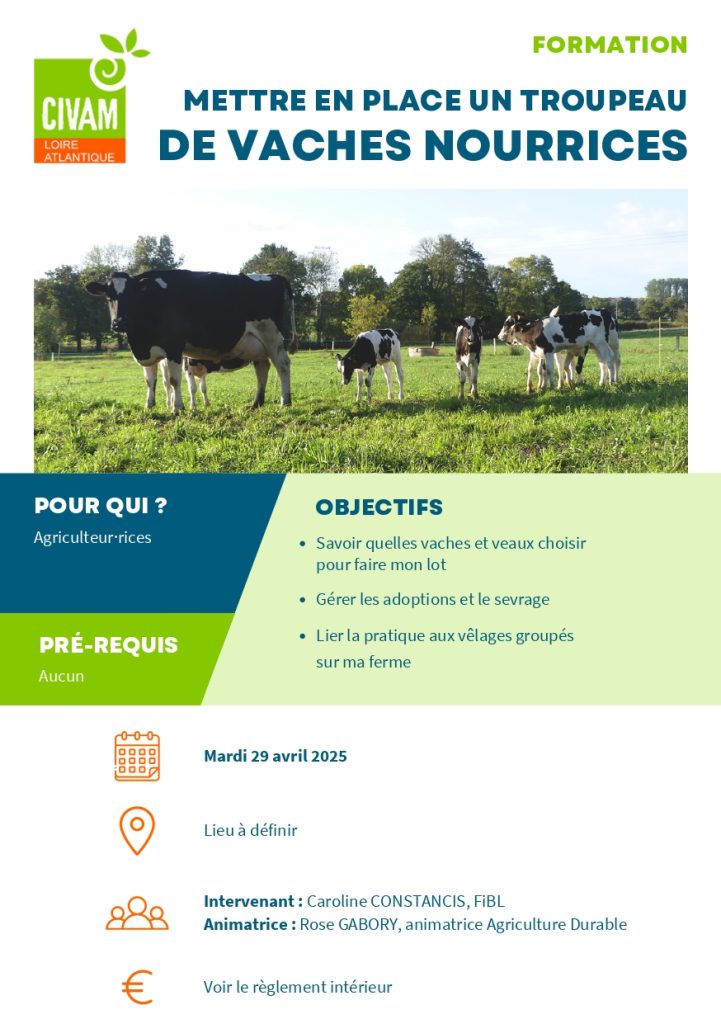 Mettre en place un troupeau de vaches nourrices 1