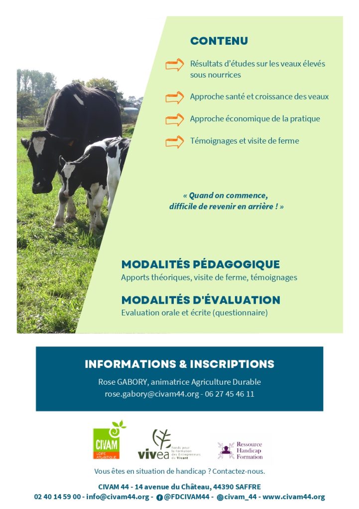 Mettre en place un troupeau de vaches nourrices 2